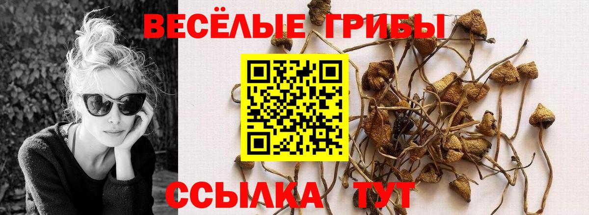Галлюциногенные грибы мухоморы Боровичи